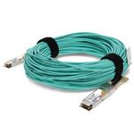 Amphenol ProLabs JNP-100G-AOC-30M-C Enlarged Image