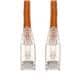 Amphenol ProLabs C-4FCAT6SP-OE