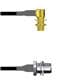 Amphenol Custom Cable Q-2P01T0003006i