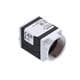 Basler 108417