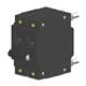 Carling Technologies CS2-P0-D4-815-A22-MT