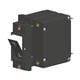 Carling Technologies A12-B0-24-620-111-E