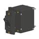 Carling Technologies A42-B0-24-630-B22-C