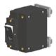 Carling Technologies C22-P0-D4-815-31A-MT