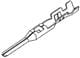 Aptiv (formerly Delphi) 15422501