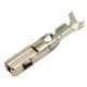 Aptiv (formerly Delphi) 211CC2S2460P