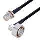 PolyPhaser CASPF250013-25M