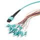 PolyPhaser MPM24M4-09LCR-5