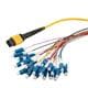 PolyPhaser MPM24SM-09LCR-1