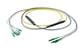 Pasternack PE3FCA308-15M