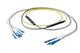 Pasternack PE3FCA321-10M