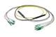 Pasternack PE3FCA380-10M