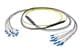 Pasternack PE3FCA451-25M