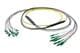 Pasternack PE3FCA456-15M