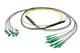 Pasternack PE3FCA458-10M