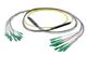Pasternack PE3FCA464-15M