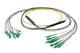 Pasternack PE3FCA464-30M