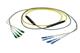 Pasternack PE3FCA552-15M