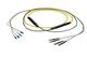 Pasternack PE3FCA561-25M