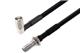 Pasternack PE3W17871-12