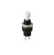 Shin Chin R13-509A-05-BW