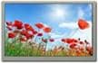 Optical Bonded Touchscreen Displays