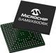 Microchip Technology SAM9X60D6KT-I/4GB-SL3
