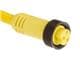 Molex 1300060246