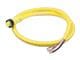 Molex 130006-1163