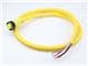 Molex 1300061171