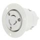 Molex 1301490036