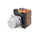 Omron Automation and Safety A22NN-MPA-NGA-G100-NN