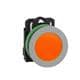 Schneider Electric XB5FVB5C0